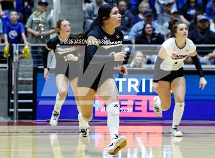 Thumbnail 2 in Jewett Leon vs. Nocona (UIL 2A D1 Volleyball Final) photogallery.