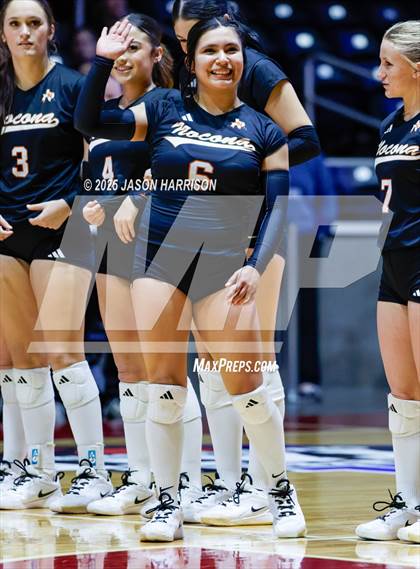 Thumbnail 3 in Jewett Leon vs. Nocona (UIL 2A D1 Volleyball Final) photogallery.