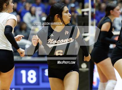 Thumbnail 2 in Jewett Leon vs. Nocona (UIL 2A D1 Volleyball Final) photogallery.