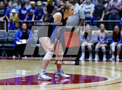 Thumbnail 3 in Jewett Leon vs. Nocona (UIL 2A D1 Volleyball Final) photogallery.