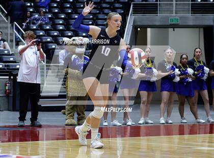 Thumbnail 1 in Jewett Leon vs. Nocona (UIL 2A D1 Volleyball Final) photogallery.
