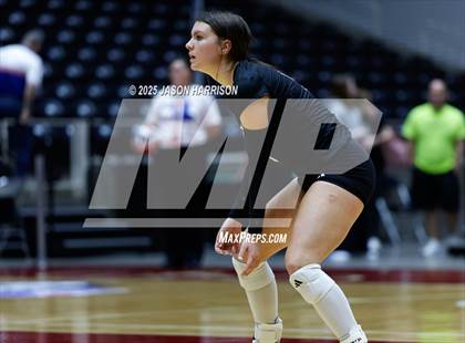 Thumbnail 1 in Jewett Leon vs. Nocona (UIL 2A D1 Volleyball Final) photogallery.