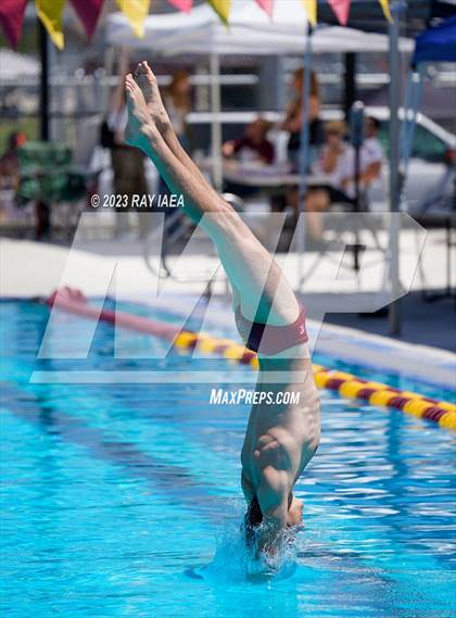 Thumbnail 2 in BVL Swim and Dive Championship @ Liberty High photogallery.