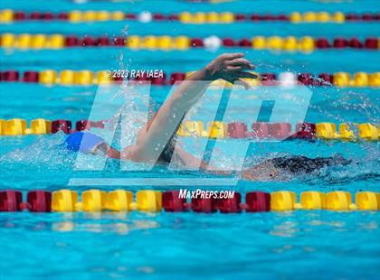 Thumbnail 3 in BVL Swim and Dive Championship @ Liberty High photogallery.