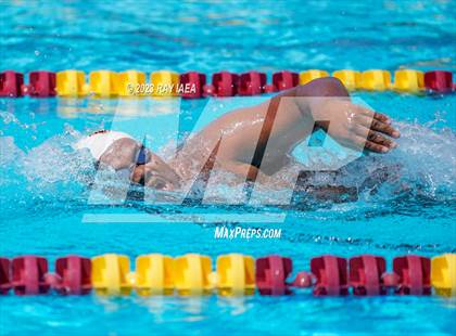 Thumbnail 2 in BVL Swim and Dive Championship @ Liberty High photogallery.
