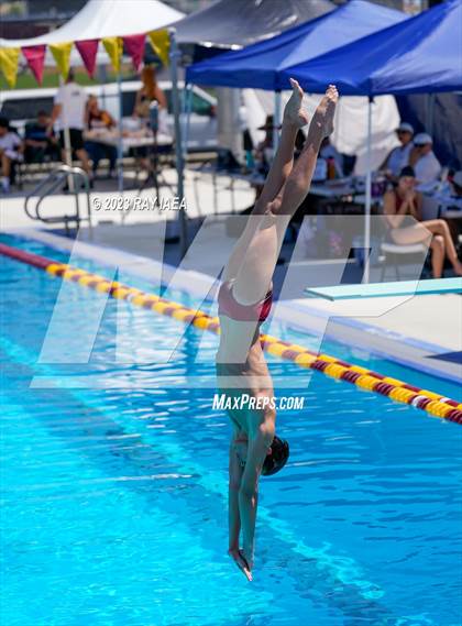 Thumbnail 1 in BVL Swim and Dive Championship @ Liberty High photogallery.