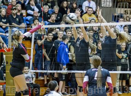 Thumbnail 3 in Shelbyville vs Northview (IHSAA 3A Regional Playoff) photogallery.