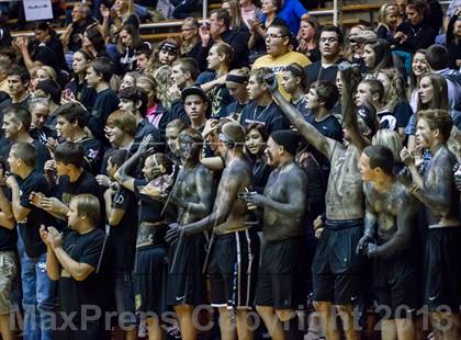 Thumbnail 1 in Shelbyville vs Northview (IHSAA 3A Regional Playoff) photogallery.