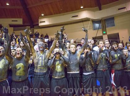Thumbnail 1 in Shelbyville vs Northview (IHSAA 3A Regional Playoff) photogallery.
