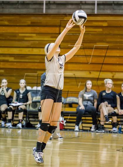 Thumbnail 3 in Shelbyville vs Northview (IHSAA 3A Regional Playoff) photogallery.