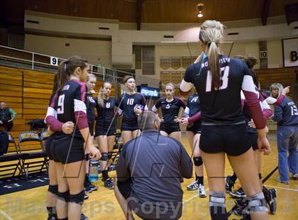 Thumbnail 2 in Shelbyville vs Northview (IHSAA 3A Regional Playoff) photogallery.
