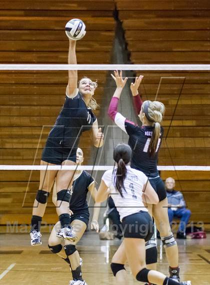Thumbnail 1 in Shelbyville vs Northview (IHSAA 3A Regional Playoff) photogallery.