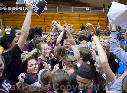 Thumbnail 1 in Shelbyville vs Northview (IHSAA 3A Regional Playoff) photogallery.