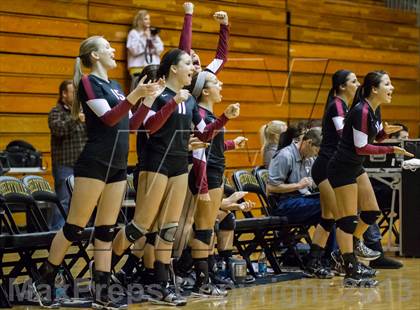 Thumbnail 3 in Shelbyville vs Northview (IHSAA 3A Regional Playoff) photogallery.