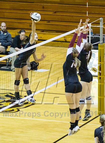 Thumbnail 1 in Shelbyville vs Northview (IHSAA 3A Regional Playoff) photogallery.