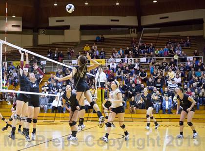 Thumbnail 1 in Shelbyville vs Northview (IHSAA 3A Regional Playoff) photogallery.