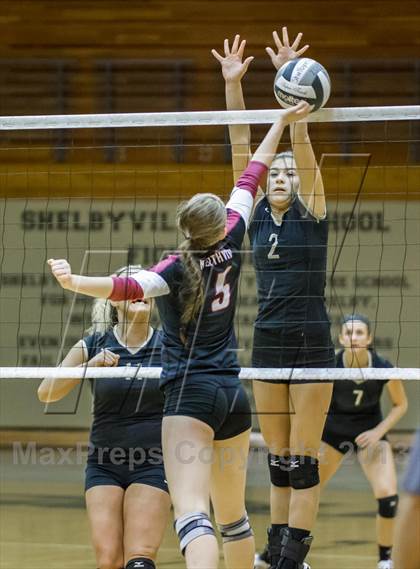 Thumbnail 1 in Shelbyville vs Northview (IHSAA 3A Regional Playoff) photogallery.