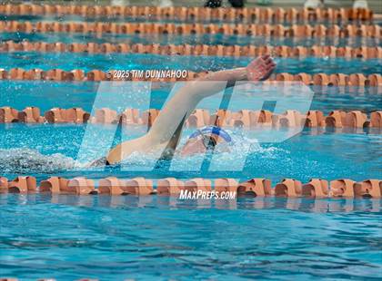 Thumbnail 2 in UIL 5A Swimming & Diving Finals (Swim) photogallery.