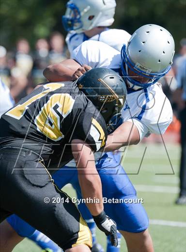 null - Photo 01