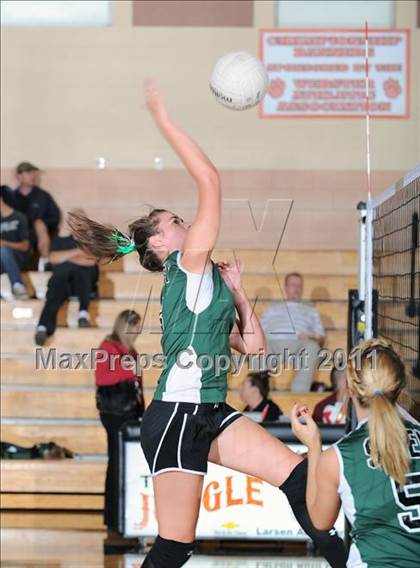 Thumbnail 1 in Siren vs. Webster photogallery.