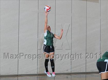 Thumbnail 2 in Siren vs. Webster photogallery.