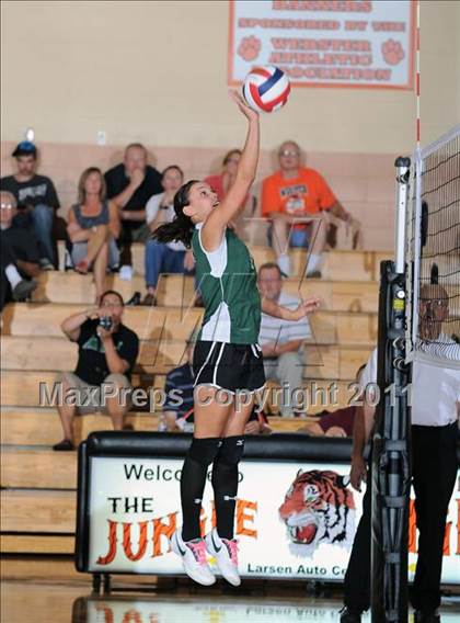 Thumbnail 2 in Siren vs. Webster photogallery.