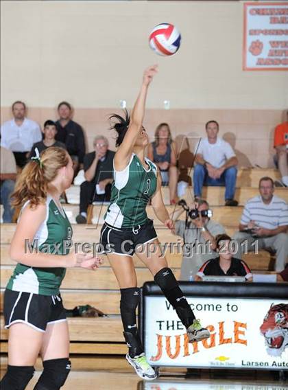 Thumbnail 2 in Siren vs. Webster photogallery.