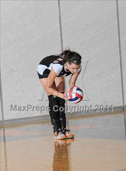 Thumbnail 2 in Siren vs. Webster photogallery.