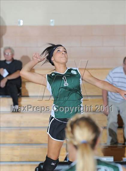 Thumbnail 3 in Siren vs. Webster photogallery.