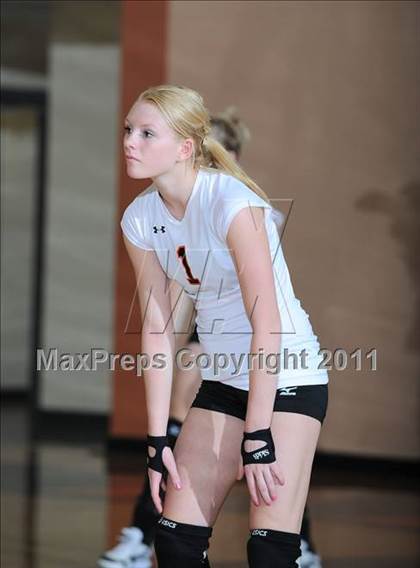 Thumbnail 1 in Siren vs. Webster photogallery.