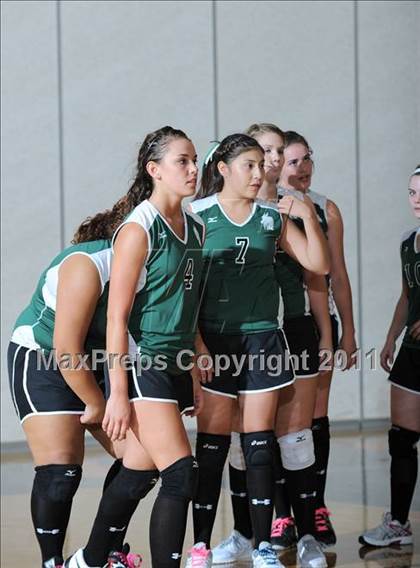 Thumbnail 2 in Siren vs. Webster photogallery.