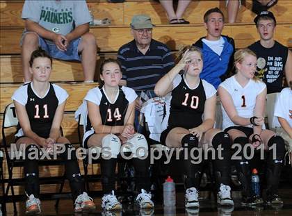 Thumbnail 1 in Siren vs. Webster photogallery.