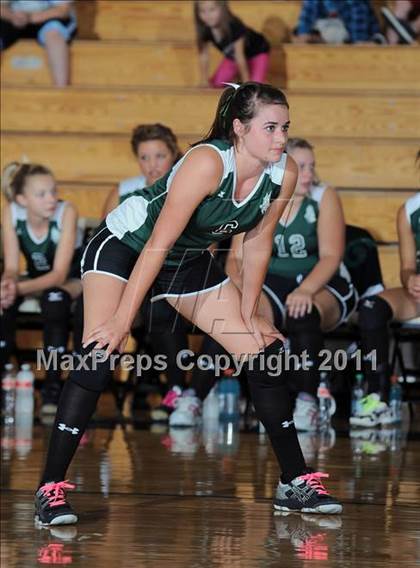 Thumbnail 2 in Siren vs. Webster photogallery.