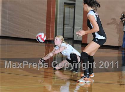 Thumbnail 2 in Siren vs. Webster photogallery.