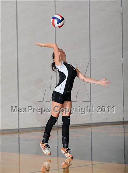 Thumbnail 3 in Siren vs. Webster photogallery.