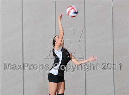 Thumbnail 1 in Siren vs. Webster photogallery.