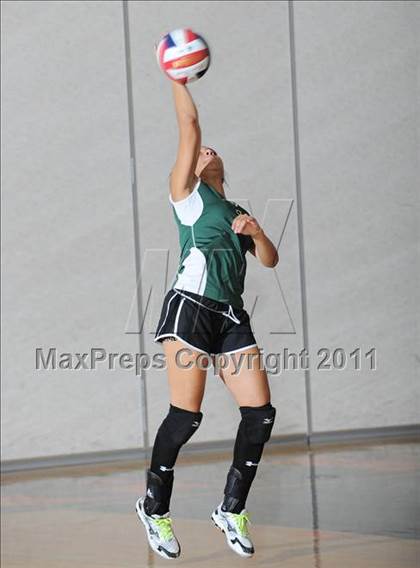 Thumbnail 1 in Siren vs. Webster photogallery.