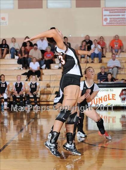 Thumbnail 1 in Siren vs. Webster photogallery.