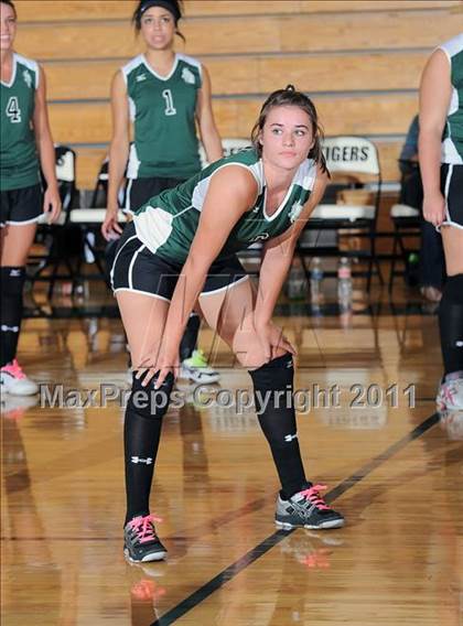 Thumbnail 3 in Siren vs. Webster photogallery.