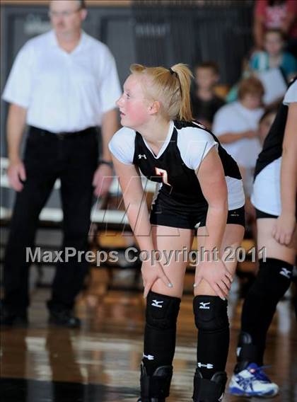 Thumbnail 1 in Siren vs. Webster photogallery.