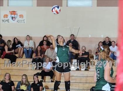 Thumbnail 3 in Siren vs. Webster photogallery.