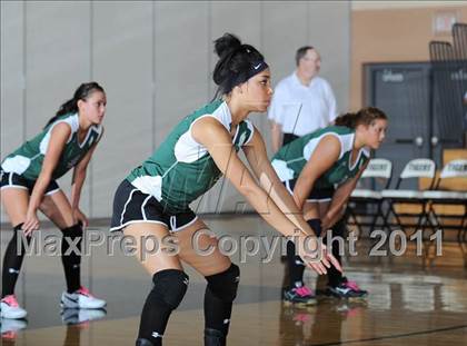 Thumbnail 3 in Siren vs. Webster photogallery.