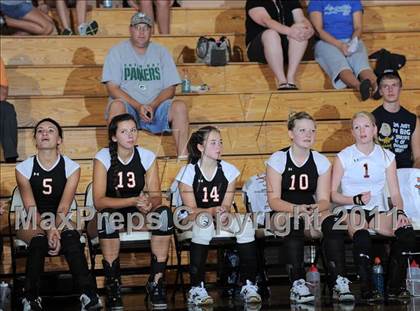 Thumbnail 3 in Siren vs. Webster photogallery.