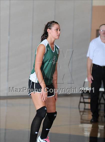 Thumbnail 3 in Siren vs. Webster photogallery.