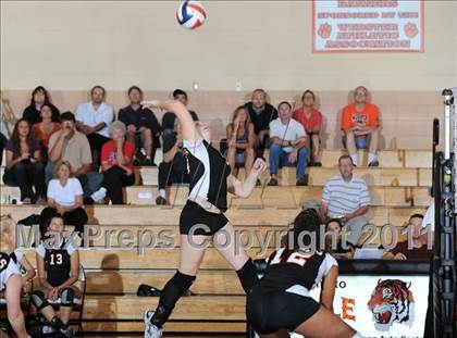 Thumbnail 2 in Siren vs. Webster photogallery.