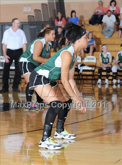 Thumbnail 3 in Siren vs. Webster photogallery.