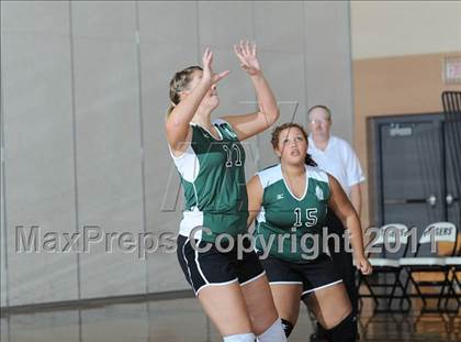 Thumbnail 1 in Siren vs. Webster photogallery.