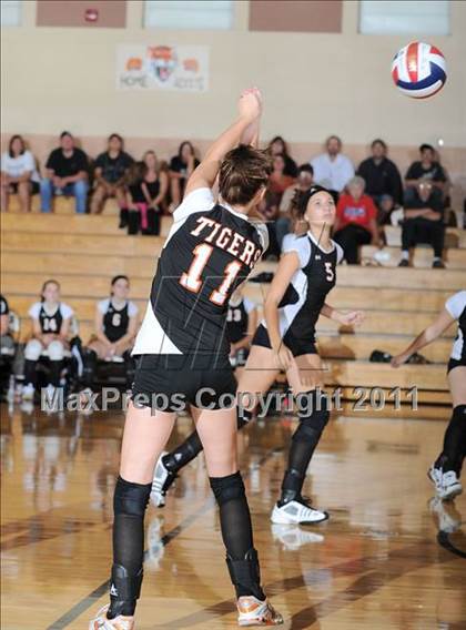 Thumbnail 2 in Siren vs. Webster photogallery.