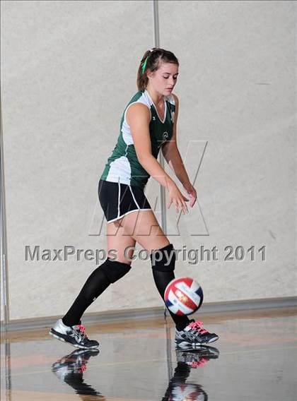 Thumbnail 1 in Siren vs. Webster photogallery.