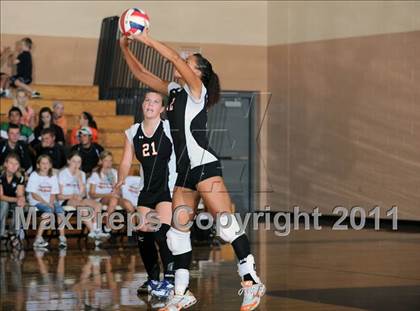 Thumbnail 2 in Siren vs. Webster photogallery.